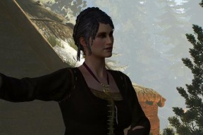 《巫师3》新版本狼人牌组有什么特点？如何使用狼人牌组进行游戏？