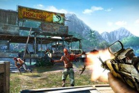 《孤岛惊魂FarCry2》游戏攻略（激烈战斗与无尽任务）