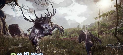 《巫师3》新版本北方猎龙人牌组怎么获得？特点和玩法是什么？  第3张